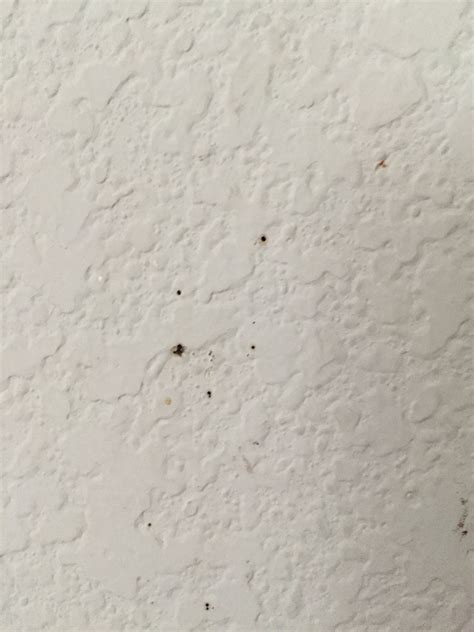 One Of My Rooms Has Tiny Holes Like Pushpin Holes In The Oddest Places