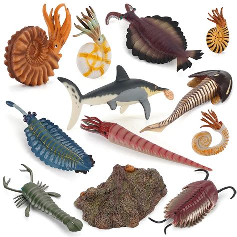 Prehistoric Marine Sea Life Animal Nautilus Cameroceras Opabinia