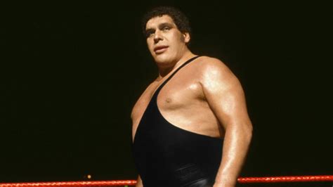 How Did Andre The Giant Die The Tragic Story Behind Wwe Superstar
