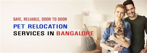 Contact us to request an estimate. Pet Relocation Services in Bangalore, Pet Tranportation ...