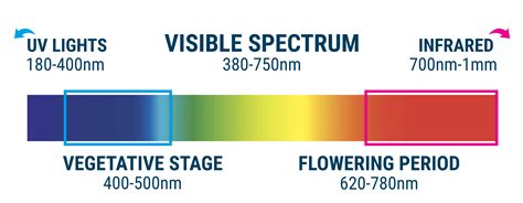 Best Light Spectrum For Growing Plants 1 They Want Mostly Red And