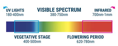 The best type of light for growing indoor plants and helping them flower is one that is as close as possible to the properties of natural light. Cannabis Cultivation: The Light Spectrum and Ways to Raise ...