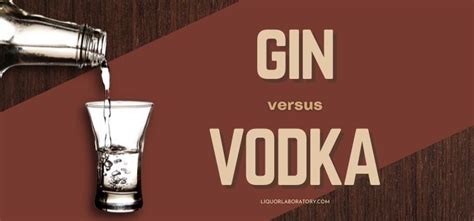 Gin Vs Vodka 2023 Updated Must Read Guide