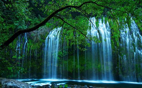 Download Wallpaper 2560x1600 Waterfall Trees For Hd Background