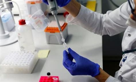 Las Vacunas Para Evitar El Cáncer Que Podrían Eliminar Los Tumores