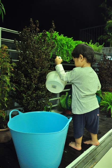 It's not too hard (prolonged watering with hard water will eventually saturate your plants' soil in salts and dehydrate them. The Bub in the Belly: Watering the plants
