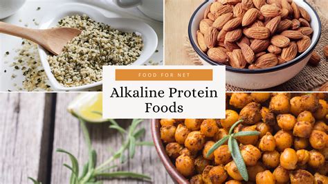 Alkaline Protein Foods So That You Stay Satisfied Food For Net