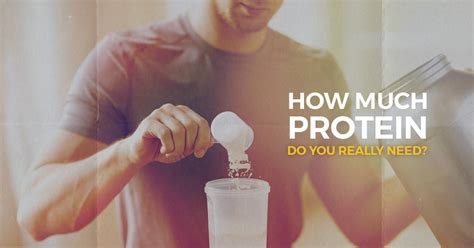 Issa International Sports Sciences Association Certified Personal Trainer Protein Myth Is