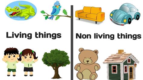 Living Things And Nonliving Things For Kids How To Teach Living And