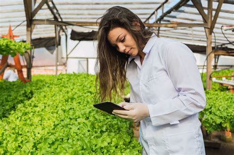 Agronomia O Que Estuda