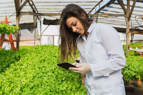 Faculdade De Agronomia Entenda Porque Esse Curso é Para Você