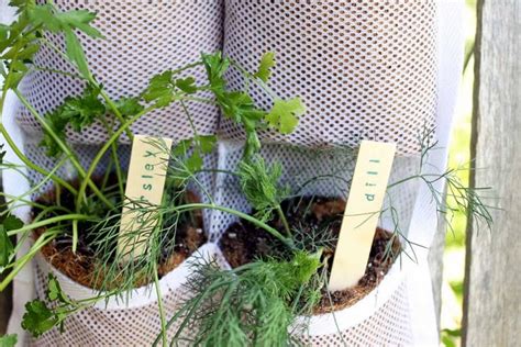 Hanging Herb Garden Diy And Benefits The Country Chic Cottage