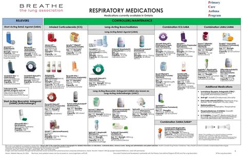 Printable Respiratory Inhaler Chart