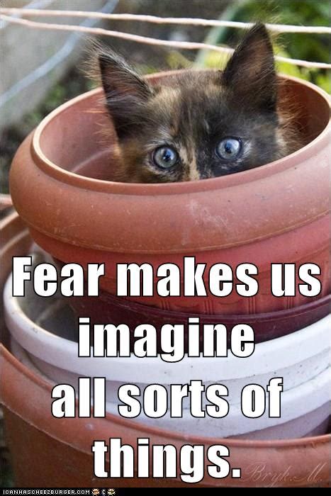 Doctor Who Quotes Quote Fear Makes Us Imagine All Sorts