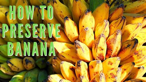 How To Preserve Bananas For A Long Time Smoothie Recipe Youtube