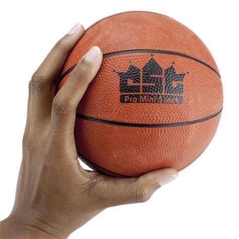 5 Inch Mini Basketball Sbas 101