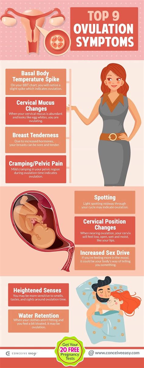 This discharge may be ovulation discharge, break through ovulation discharge, vaginal discharge from coming off the shot, normal vaginal discharge, yeast infection discharge, approaching period discharge or pregnancy discharge. Pin on Ovulation & Menstruation