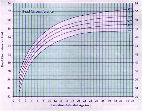 Premature Infant Boys Head Circumference Head Circumference Chart