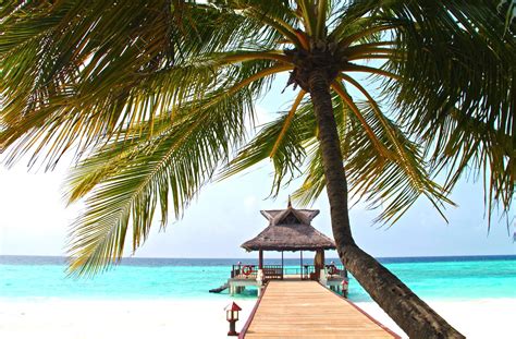 Free picture: sea, summer, Sun, tropical, beach, beautiful