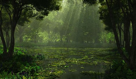 Cg Digital Art Lakes Swamp Landscapes Sunlight Filtered Beam
