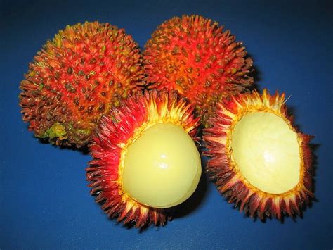 It is very high in vitamin c and is juicy and sweet with a pleasing hint of tartness. Papaleng Thoughts-Unplugged: 10 Exotic Spiky Fruits