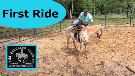 First Ride On A Horse Delta Dawn Horse Saddle Saddle Bridle