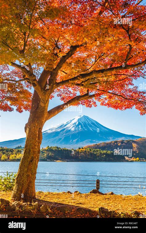 Fuji Five Lakes Hi Res Stock Photography And Images Alamy