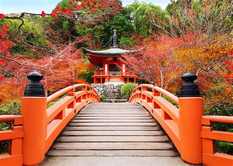 Japan Is Reopening Its Borders To International Tourism
