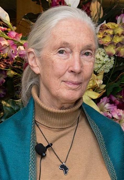 His major contributions are in elucidating the genetic code. Primatologist Jane Goodall | Jane goodall, Women ...