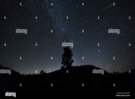 Meteor Crossing Night Sky During Perseid Meteor Shower Viewed From