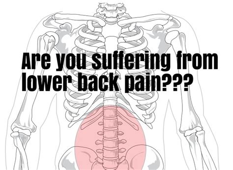 What Causes Lower Back Pain Lower Back Pain Treatments And Causes