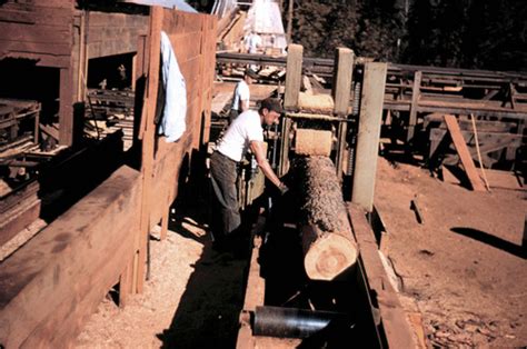 John Marshall Starting A Small Log Soper Wheeler Company — Calisphere