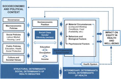 The Commission On Social Determinants Of Health Conceptual Framework