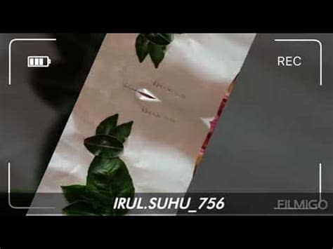 gambar hewan dari daun lucu - YouTube