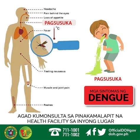 Alamin Ang Sintomas Ng Dengue By Department Of Health Western Visayas