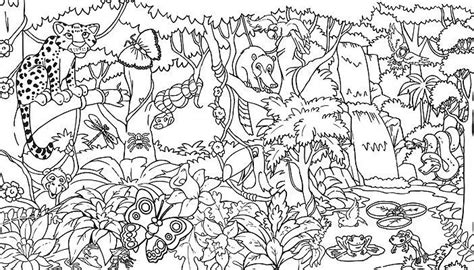 Rain Forest Coloring Pages Rainforest Coloring Sheet Tropica Jungle