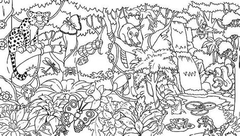Rainforest Coloring Pages Printable - Rain forest coloring pages