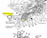 Images of Vacuum Hose Diagram 2000 Nissan Maxima