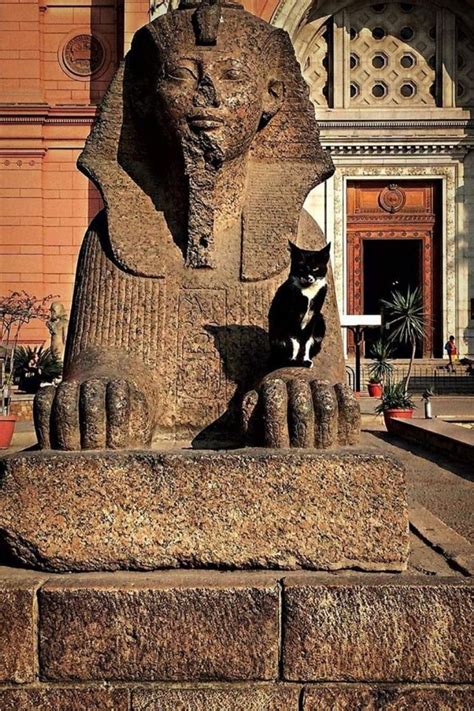 Ancient Egypt Cat Art