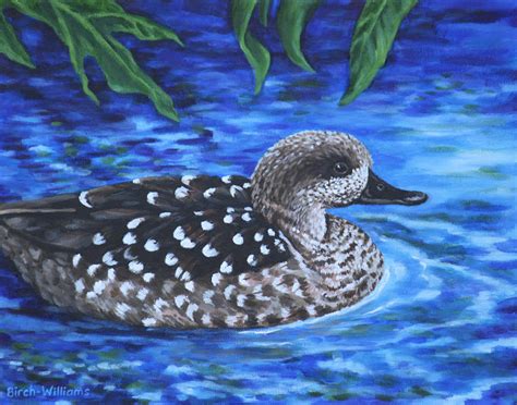 Marbled Teal Duck On The Water Painting By Penny Birch Williams Fine