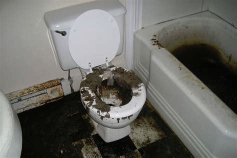 The main needs to be snaked with a large motorized snake. The Risks of Sewage Backups - MasterDry