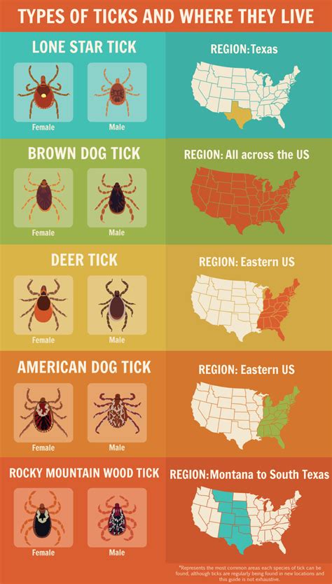 Heres What You Need To Know About Ticks Huffpost Life