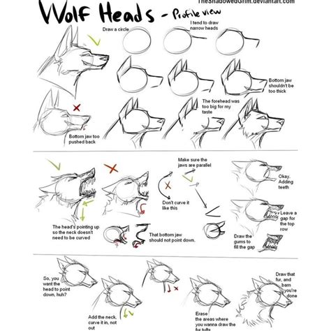 anime art reference tutorials on instagram “hey guys check out these great wolf head tuto