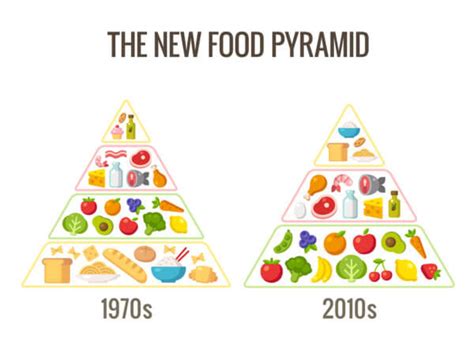 The Old Food Pyramid Is Outdated Natural Wire