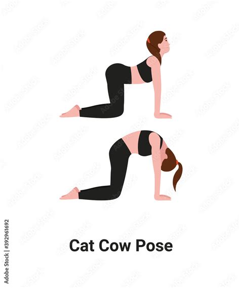 Yoga Pose Marjaryasana To Bitilasana Or Cat Pose To Cow Pose Flat