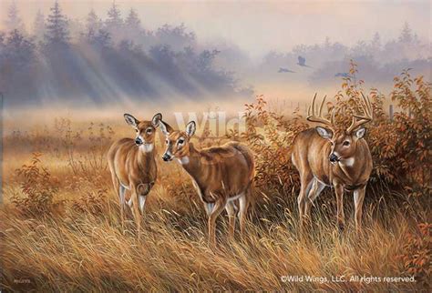 limited edition meadow mist whitetail deer wrapped canvas giclee print wall art wall decor