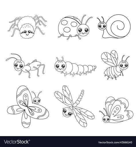 Set Of Cute Outline Insects Isolated On White Vector Image