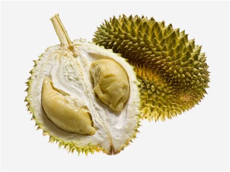 gambar buah durian gambar gambar buah