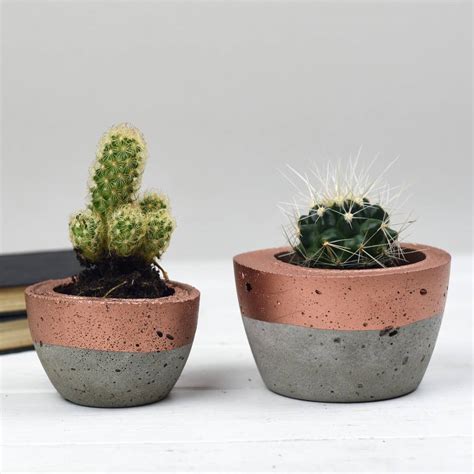 colour block concrete planter by bells and whistles make