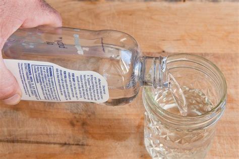 Whether for cooking or aromatherapy read on to find out how to get rid of house flies with remedies that are effective and safe for your plant basil near the window or entryway to keep flies out of your house or in outside gardens to keep the flies away when you're. Home Remedy to Keep Flies Off Dogs | Fly repellant for ...
